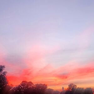 Meet your Posher, Audriana